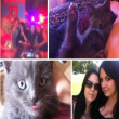 Flatmate Finder -  Looking for Flatmate 