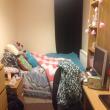 Flatmate Finder -  Looking for Flatmate 